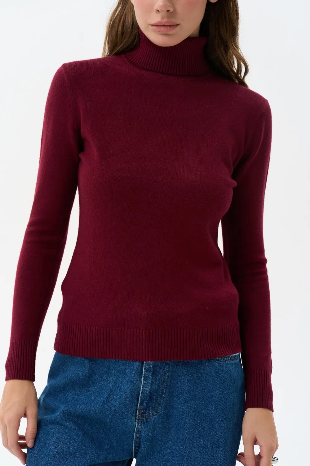 Burgundy Basic Knit Turtleneck Sweater