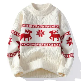 Men's New Year's sweater with a pattern