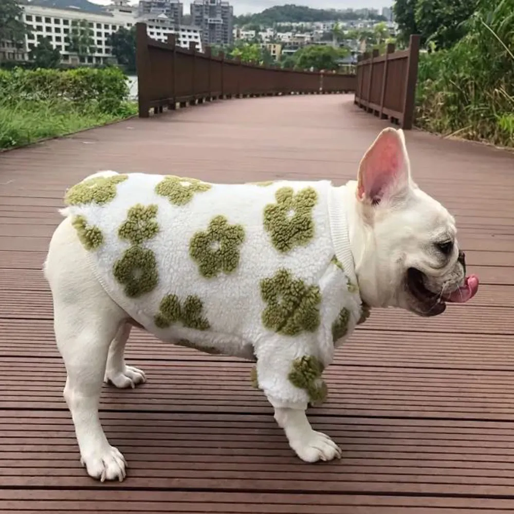 PetalPup Flower Bloom Frenchie Sweater Stylish Pet Apparel