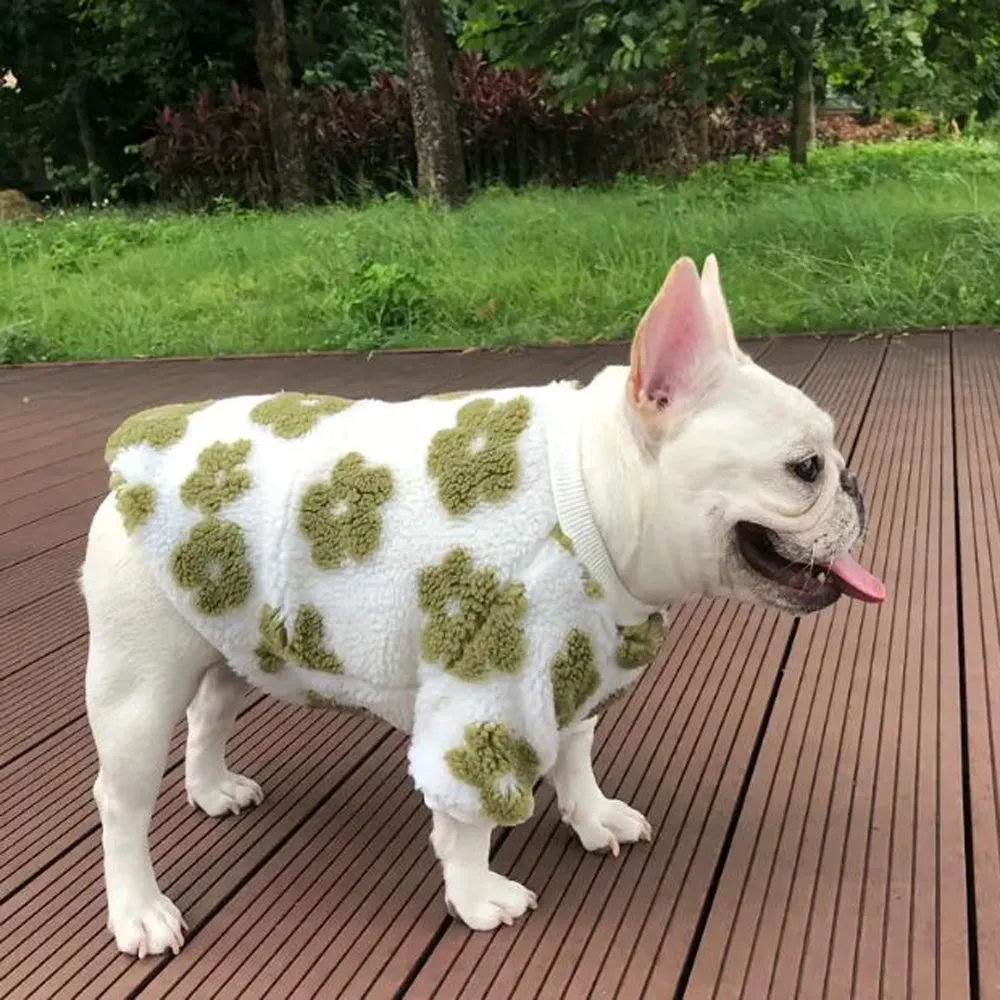 PetalPup Flower Bloom Frenchie Sweater Stylish Pet Apparel