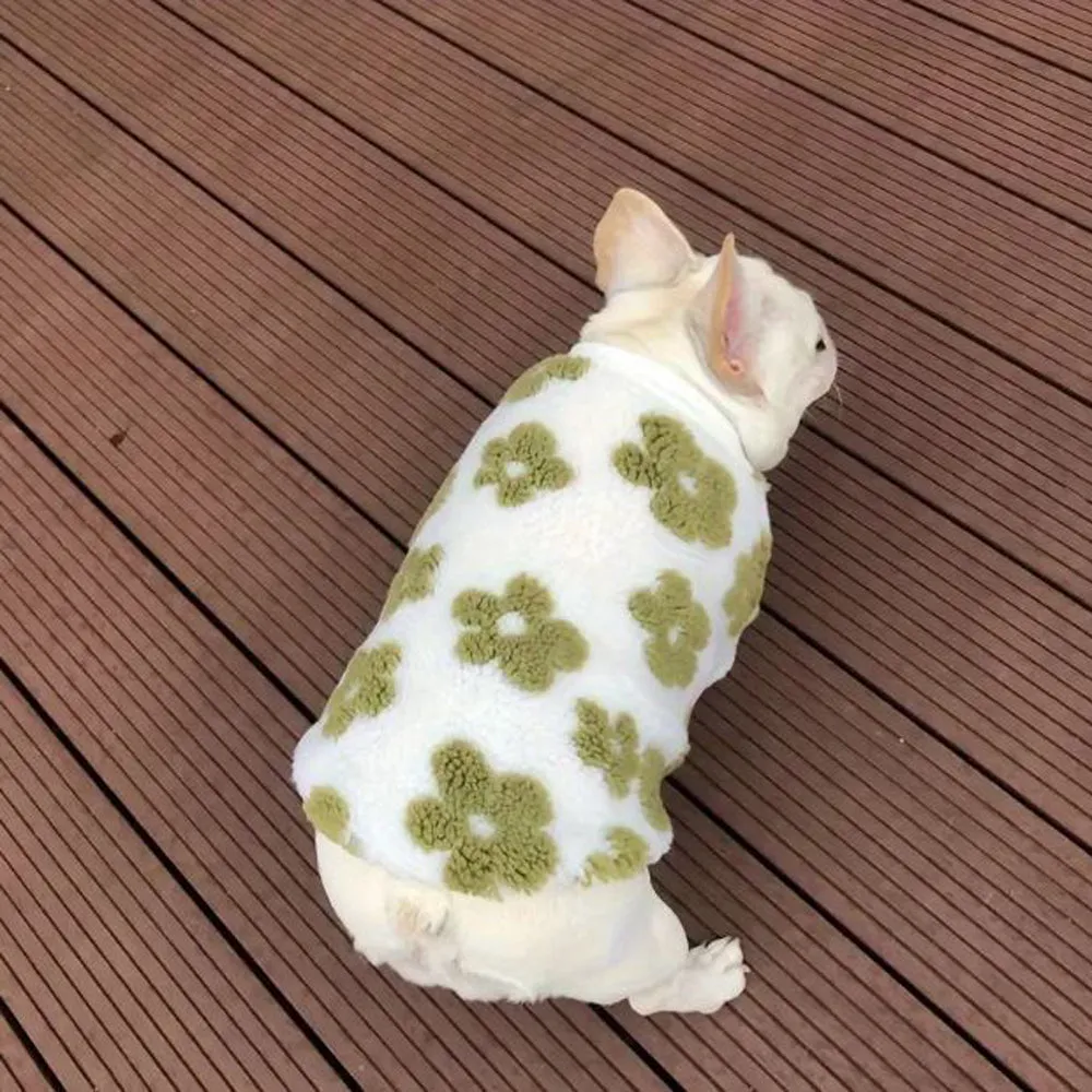 PetalPup Flower Bloom Frenchie Sweater Stylish Pet Apparel