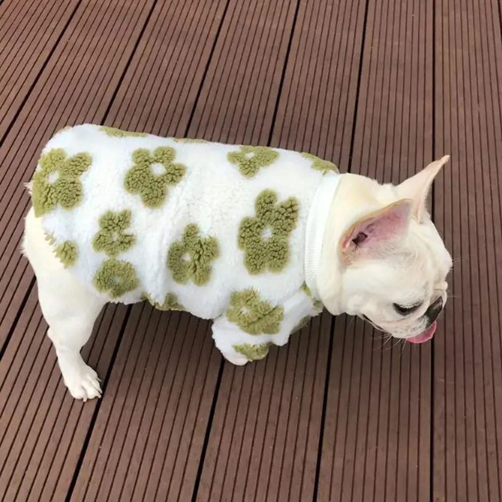 PetalPup Flower Bloom Frenchie Sweater Stylish Pet Apparel