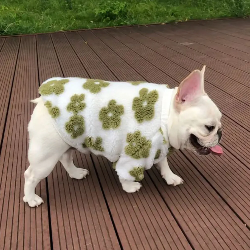 PetalPup Flower Bloom Frenchie Sweater Stylish Pet Apparel